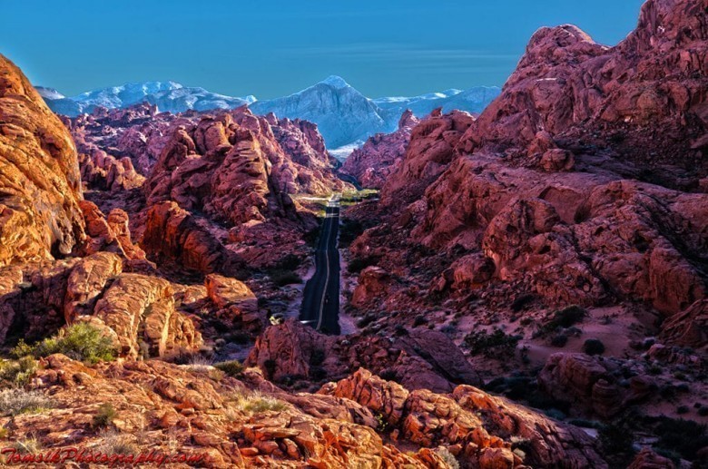 Take a Hike In The Valley Of Fire!