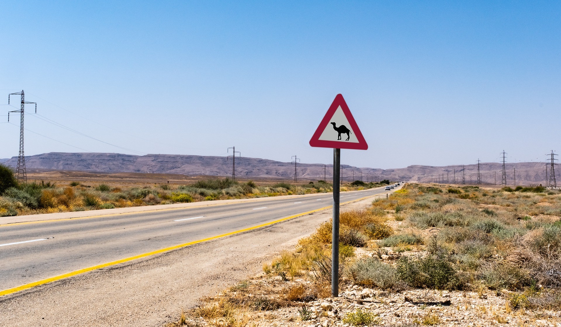 Camels are not allowed on highways