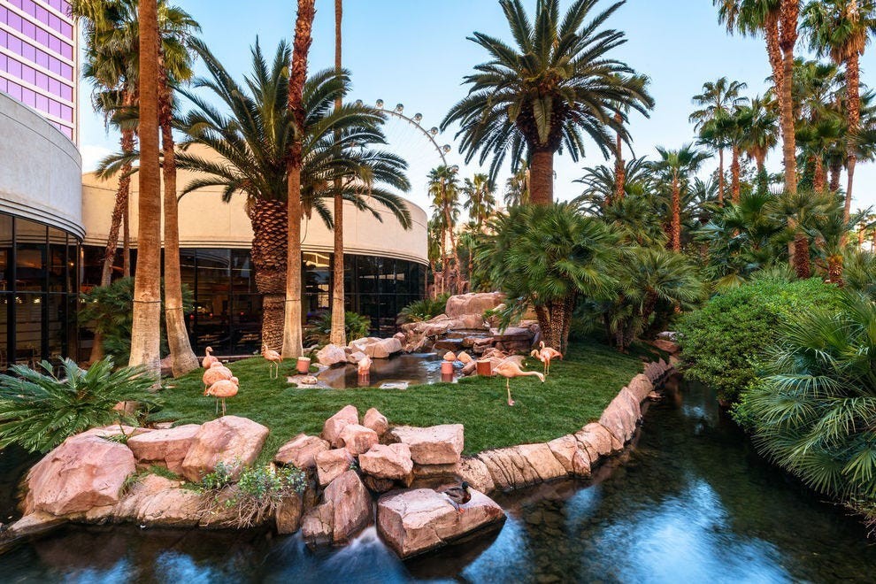 Visit The Flamingo Wildlife Habitat