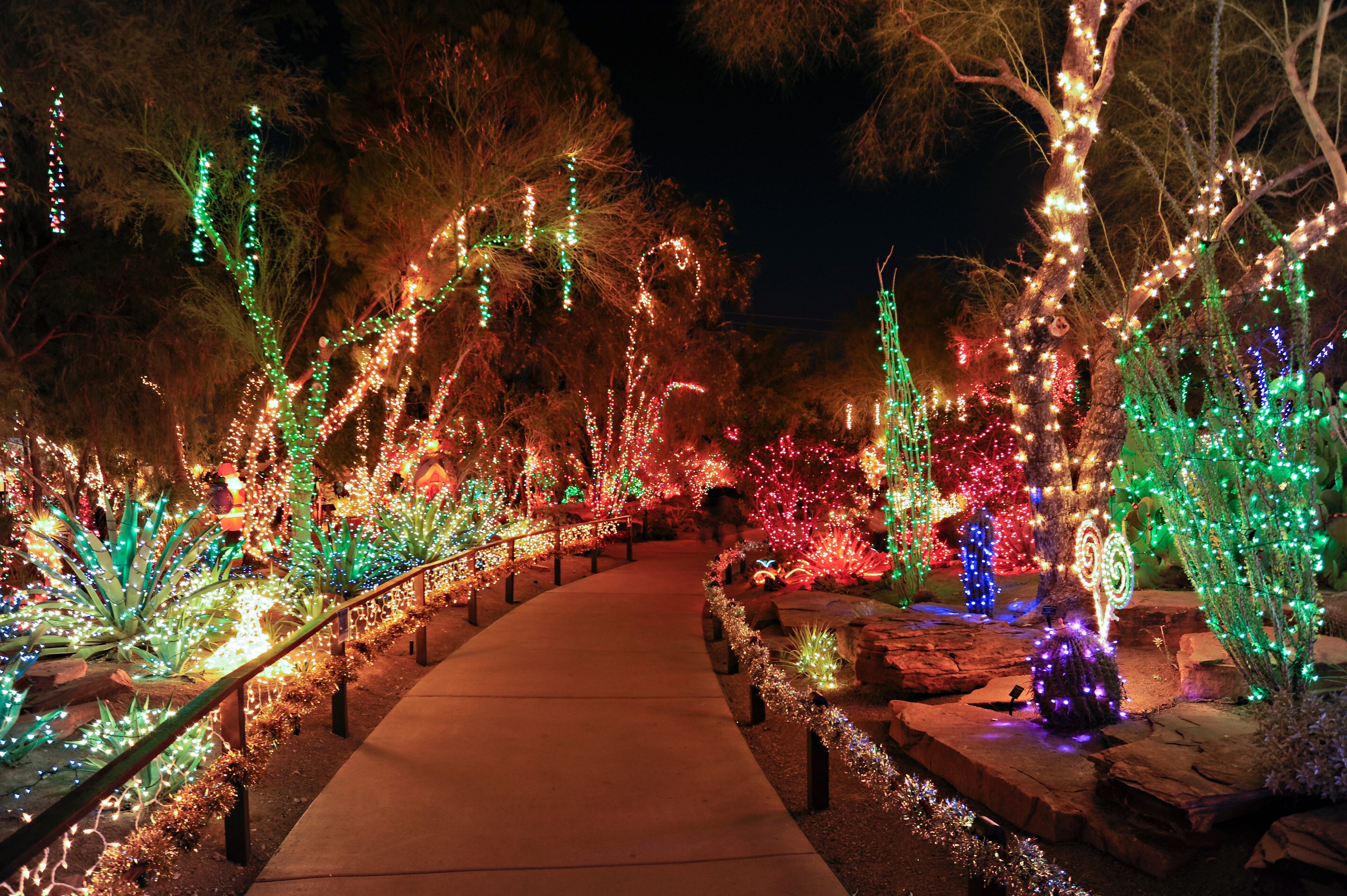 Ethel M Chocolates Botanical Cactus Garden