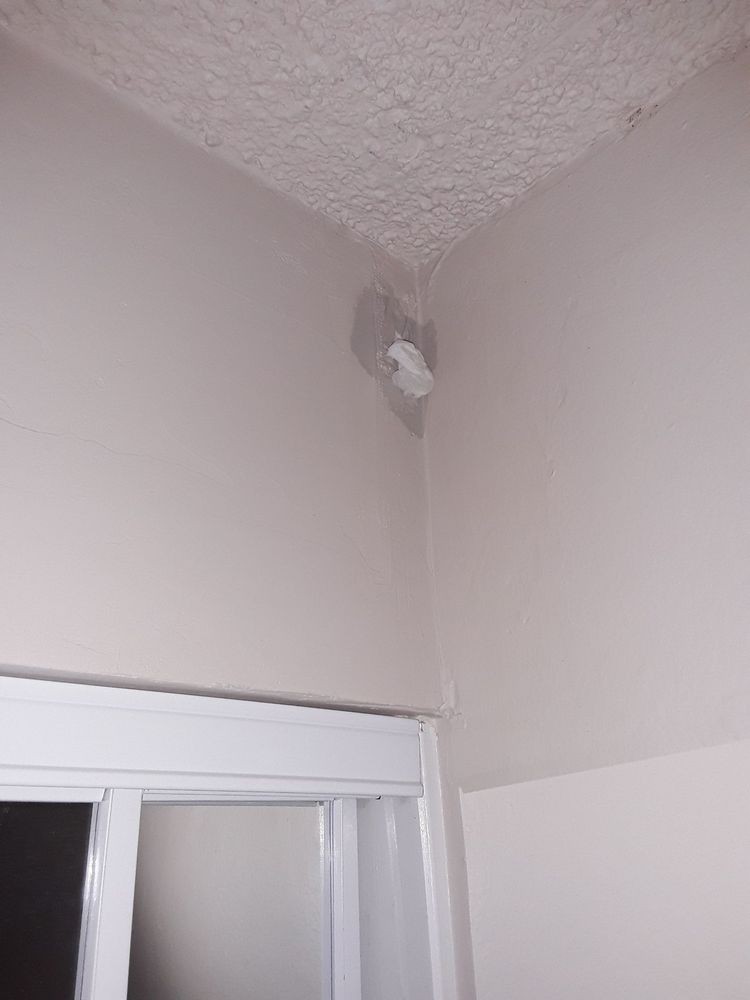 Guest photo - wall hole plugged with toilet paper...