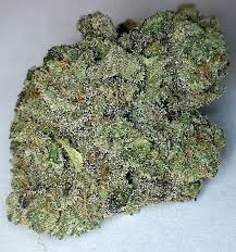 Top 5 Cannabis Indica Strains in Vegas