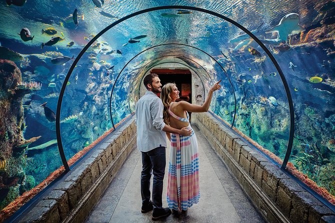 5 Vegas Zoos & Aquariums You Need to Visit