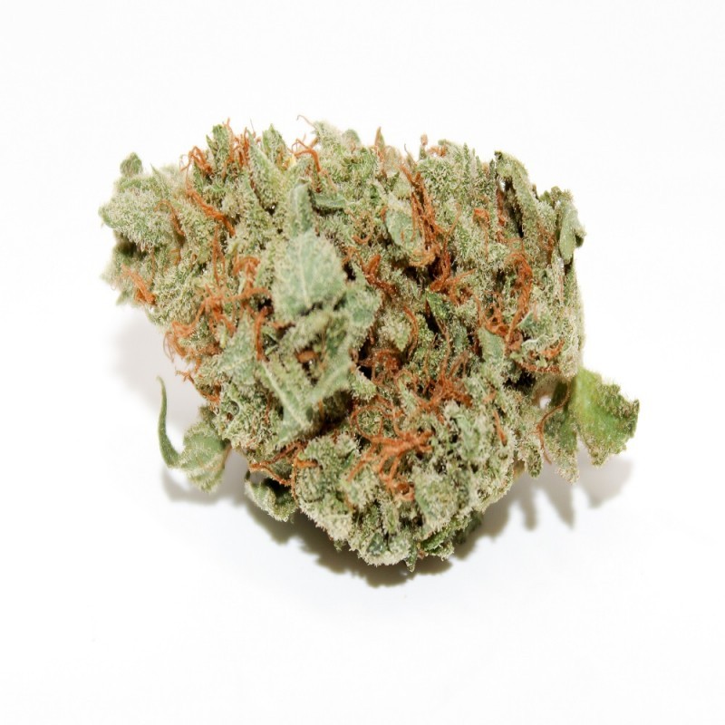 6 Best Hybrid Cannabis Strains in Vegas January 2021